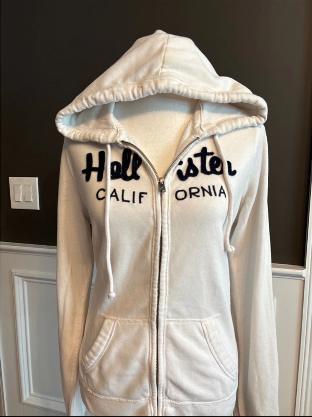 Hollister Hooded Zip-Up Sweatshirt